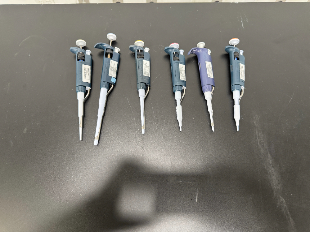 Image of Gilson Pipetman Single Channel Pipettes - Quantity 6